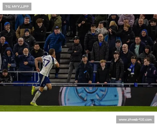 热刺客场三球胜埃弗顿 范德芬双响助队升至第三